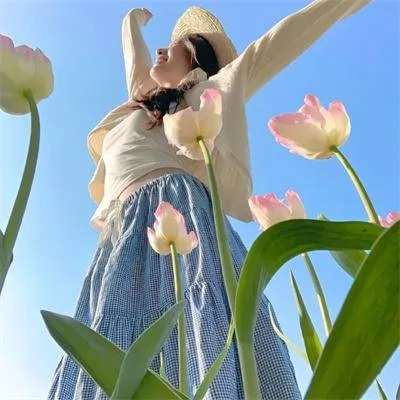 雍正王朝电视剧