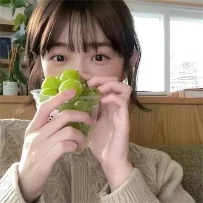 骄阳似我赵今麦电视剧