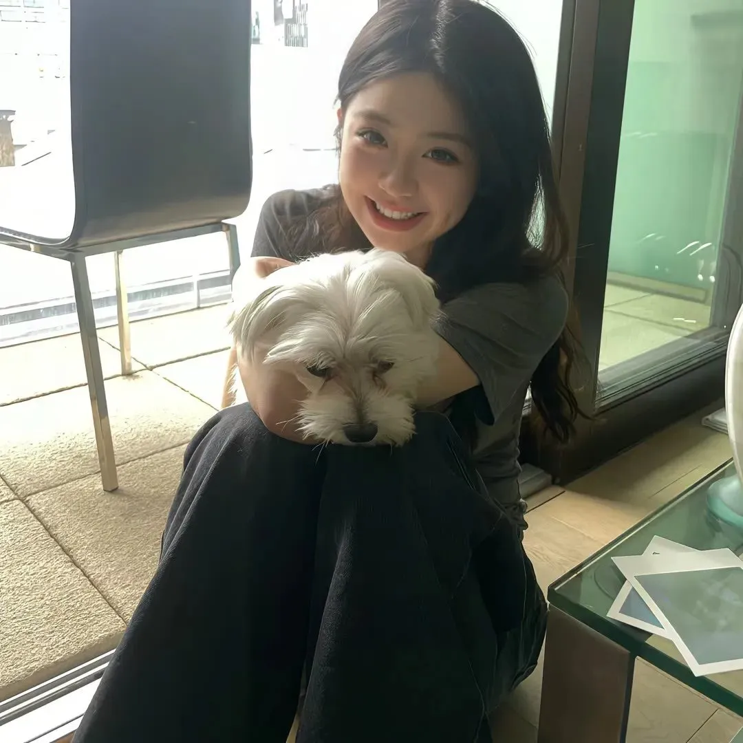 文豪野犬第二季在线观看